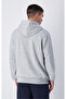 Icons Hooded Sweatshirt Gray Men's Hooded Sweatshirt-220726-Em021 - 2