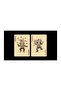 Bicycle Lilliput Premium Playing Card Limited Edition Collectible Playing Cards - 5
