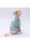 Mint Angers Dog Jumpsuit Dog Outfit Cat Outfit