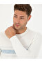 Ecru Slim Fit Crew Neck Knitwear Sweater 50278095-Vr019
