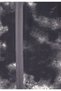 Jachete - 3
