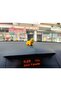 Lion Tiny Lion Patterned Rearview Mirror - Adornment Cute Automobile Accessory - 3
