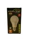 12V Led Ampul