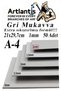 A4 Cardboard Gray 1.0mm 50 Pcs 1 Pack 21X29.7 cm A-4 Cardboard 1.0 mm Thickness A-4 Cardboard