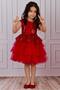 Red Girl's Tulle Evening Dress Party and Birthday Dress - 4