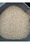 Bird's Nest Fine Powder Sawdust 500 Gr - 2