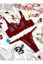 Burgundy Brode Tulle Panty Bra Set