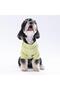 Yellow Merino Cat Dog Sweat - Cat Dog Outfit - 2