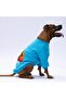 Turquoise Carmel Big Breed Dog Sweat-Dog Outfit - 3
