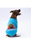 Turquoise Carmel Big Breed Dog Sweat-Dog Outfit