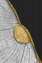 Hari̇kabi̇rev | Black -Gold Color Abstract Set 02 | Framed Glass Table 3 Pieces Vertical - 2