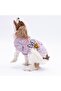 Lila Everything Cat Dog Sweatshirt - Cat Dog Outfit - 3