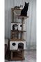 Cat Scratching House and Play Platform 100% Warranty