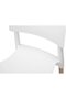 TJ HYL-088 PP Chair with Wooden Legs for Indoor, Outdoor & Dining Chair - White - 2