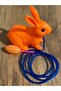 Nostalgic Jumping Rabbit (Pumping Rabbit) - 3