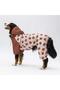Colorado Large Breed Dog Jumpsuit Raincoat Dog Raincoat Dog Outfit Dog Dress