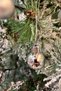 Shiny Matte Silver Colored Cici Ball 3 cm Set of 6 Christmas New Year Pine Tree Ornament Stringed Gray Silver Balls - 8