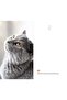 Flexible Cover Notebook 10.5x18.58 144sy Cat Lover - 3