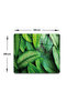 Glass Cutting Board - Glass Cutting Board |   Leaf Festival |   29cm X 34cm - 5