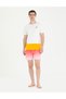 Pomegranate Flower Swim Shorts 50275934 -Vr039