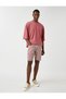 Striped Denim Shorts with Pockets