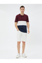 Polo Neck T-Shirt Palm Tree Printed Buttons Color Blocked Short Sleeve