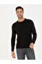 Brown Slim Fit Crew Neck Sweater 50281819-Vr029 - 3
