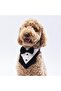 Black Tuxedo Cat Dog Scarf Pet Bandana - 2
