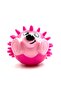 Sound Hedgehog Ball Teether Dog Toy - 4