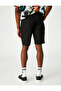 Basic Chino Shorts - 4