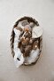 Wooden Balloon Baby Memory Cards 1Mounth-1Year - 2