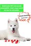 Sound Dog Toy Plush Candy Cane Vikvik Sound Dog Toy Christmas Candy - 4
