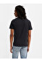 Graphic Crewneck Tee - 2