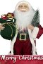 Large santa claus christmas ornament figurine - 45cm - holding a pine tree and gift sack - 5