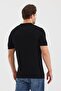 Upright Stripe Polo Neck Slim Fit Knitwear T-Shirt (E24-Eze-27-28) - 6