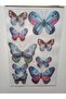 3D Look Wall Sticker Set - Office and Home Decor Wall Ornament - 2