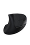 MS550GT Wireless Kablosuz Optik Dikey Mouse
