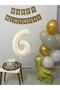 6 Year Old Balloon Set Birthday Balloon Decoration Set with Giraffe Balloon and Happy Birthday Banner