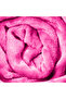 Double-Flannel Micro-Fleece Throw Blanket, 200 x 220 cm, Fuchsia Pink - 4