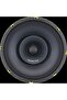 GZCM 10.0SPL