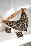 Shal Model Leopard Armor Metal Design Necklace Earring Set - 7