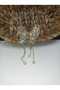 Women's New Season Crystal Stone Large Size Metal Peg Butterfly Pendent Buckle - 4