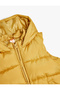Hooded Seasonal Puffer Vest with Pocket Detail - 3