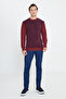 Men's Burgundy-navy blue Standard Fit Regular Cut Crew Neck Honeycomb Patterned Knitwear Sweater - 2