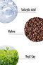Body Scrub| Coffee + Green Tea Extract Body Peeling| BHA + Jojoba Oil 250 ML - 5