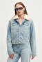 Winter Jacket