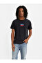 Graphic Crewneck Tee
