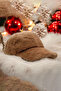 Women's Winter Brown Plush Cap Hat - 3