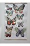3D Look Wall Sticker Set - Office and Home Decor Wall Ornament - 4