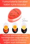 Stunt Egg Timer with Indicator Egg Timer Cooking Boiling Time Consistency Adjusting Apparatus - 3